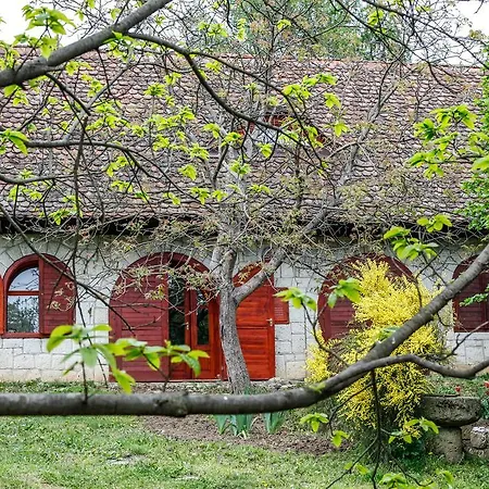 Guest house Myrtus Pince Es Vendeghaz