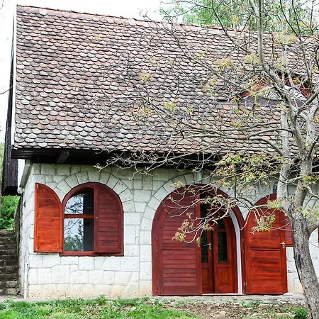 Myrtus Pince és Maison d'hôtes Tarcal
