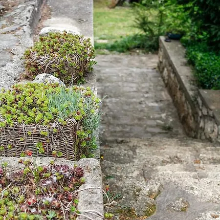 Myrtus Pince Es Vendeghaz 3* Tarcal