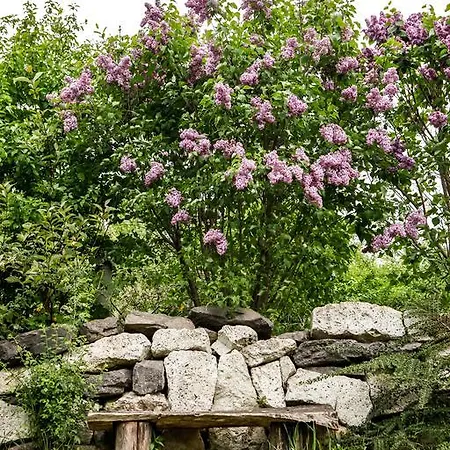 Myrtus Pince és Maison d'hôtes Tarcal