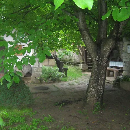 Guest house Myrtus Pince Es Vendeghaz Tarcal