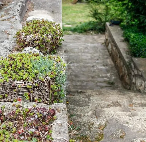 Myrtus Pince és 3* Tarcal