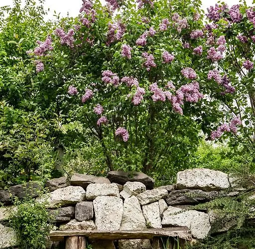 Myrtus Pince és Vendégház Tarcal
