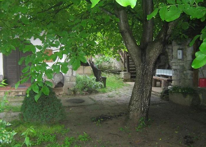 Vendégház Myrtus Pince és Tarcal